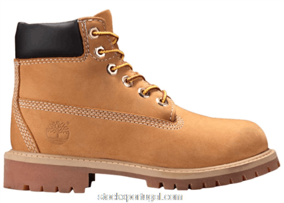 Outlet Timberland 6 Inch Premium Boot Wheat (PS) TB012709