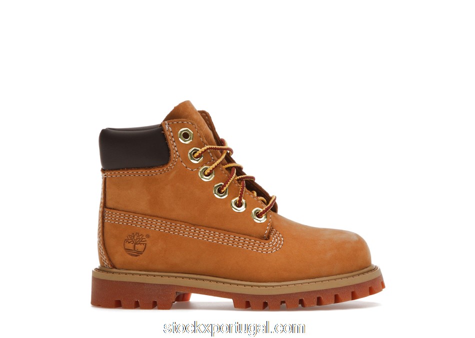 Outlet Timberland 6 Inch Premium Boot Wheat (TD) TB012809713
